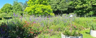 Klimaschutzgarten in Gosdorf