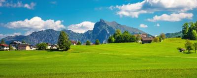 Landschaftspanorama mit grüner Wiese und dem Traunstein