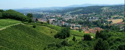 Schilcher Weinstraße Deutschlandsberg / Südsteiermark