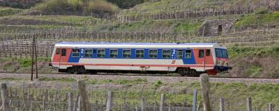 Zug in der Natur