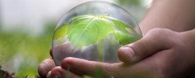 Glaskugel mit Blatt darin
