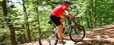 Radfahrer fährt im Wald