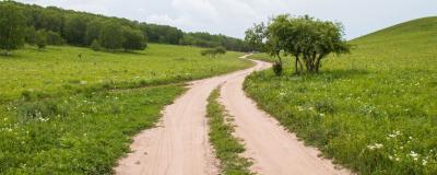 Weg im Grünen in Vorarlberg