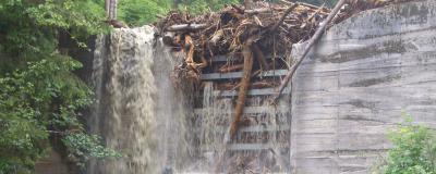 Bäume verstopfen Wasserfall