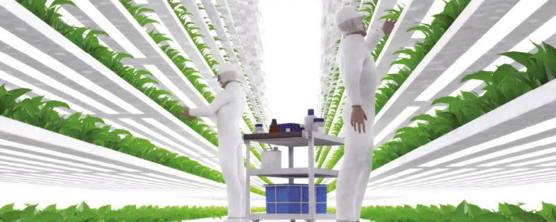 Vertical Farming