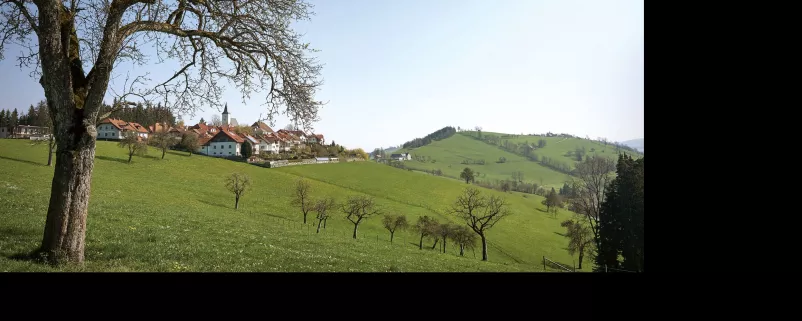Mostviertel - Baum - Wiese
