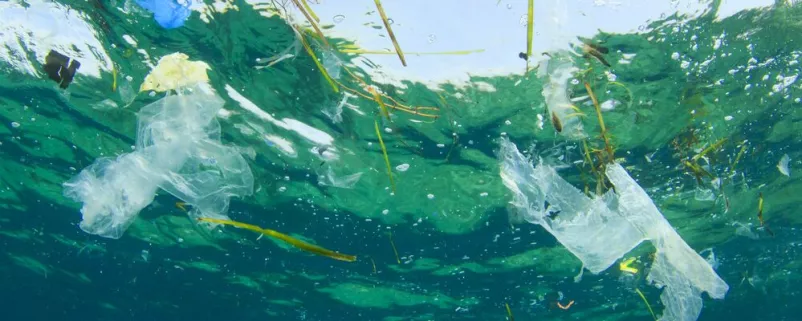 Plastikmüll in einem See von unten betrachtet