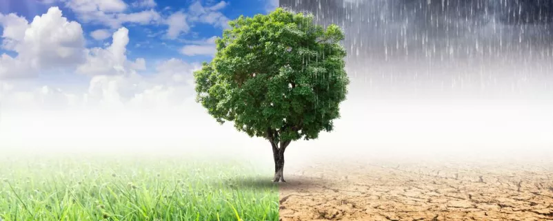 Klimawandel-Anpassungsmodellregionen