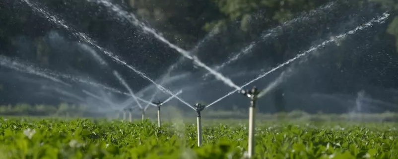 Feld wird bewässert