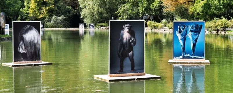 Bilder im See aufgestellt