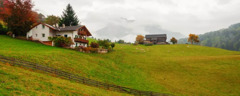 Bergwiese an einem Hang in Tirol