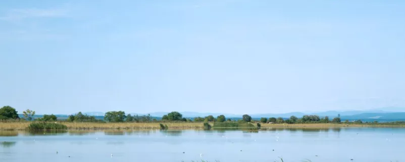 Blick auf den Neusiedler See