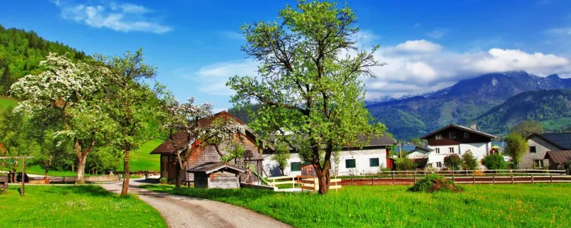 Ein Bauernhof am Land unter blauem Himmel