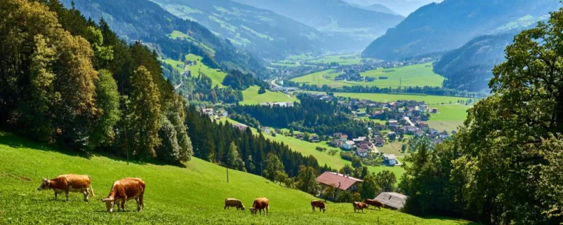 Blick auf das Zillertal