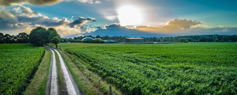 Biogasanlage auf dem Land