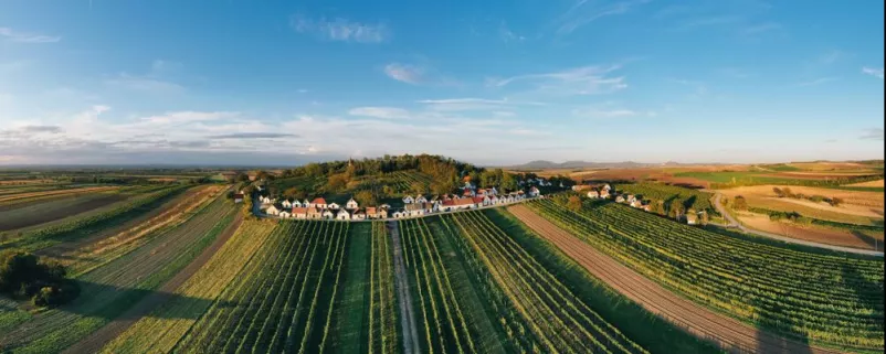 Galgenberg in Wildendürnbach