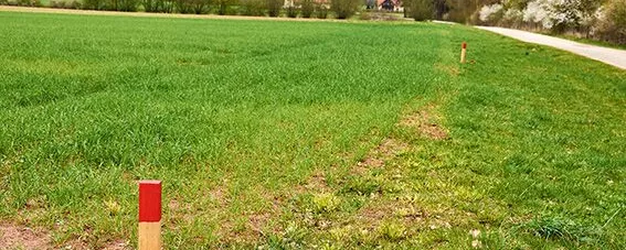 Feld mit Absteckungen