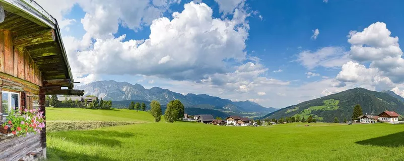 Blick auf Alpenwiese