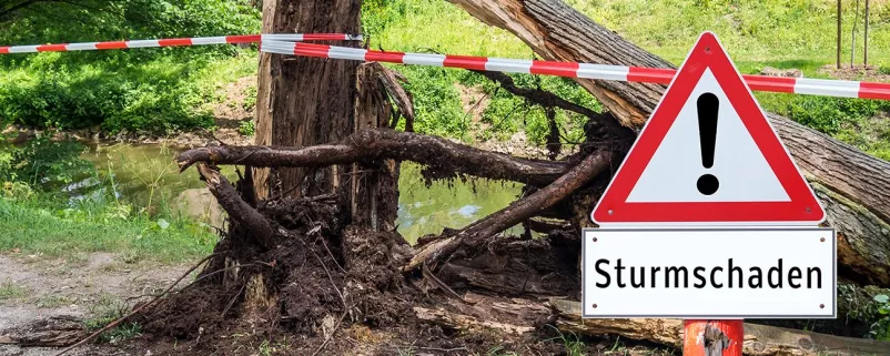 Achtung Sturmschaden Baum 