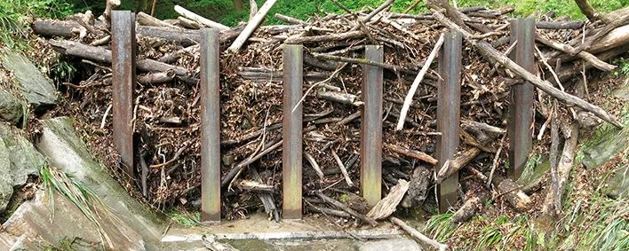 Wildholzrechen