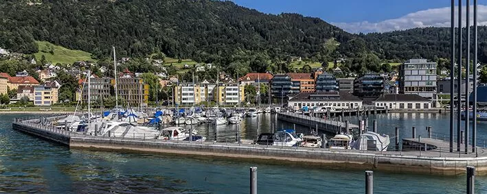 Blick vom Bodensee auf Bregenz.