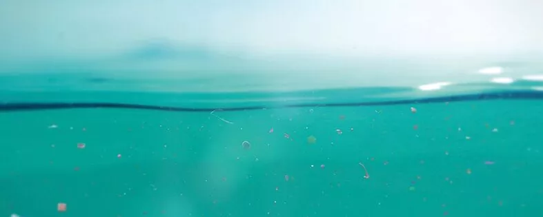 Mikroplastik