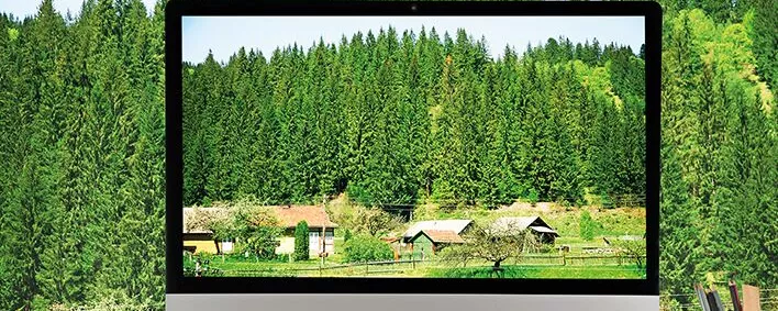 Bildschirm mit Wald darauf