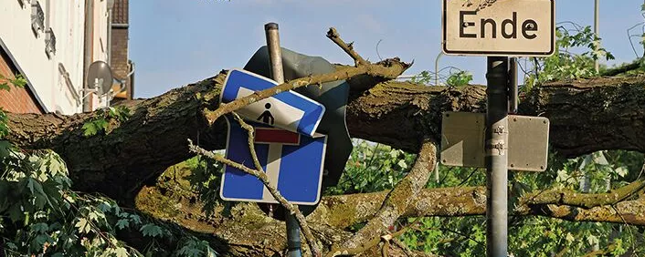 Durch Sturm und umgekippten Baum zerstörte Straßenschilder