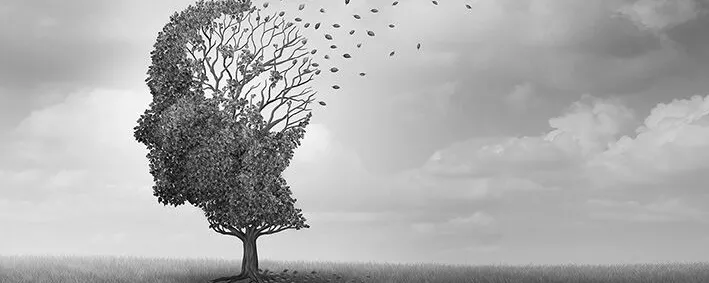 Baum im Wind