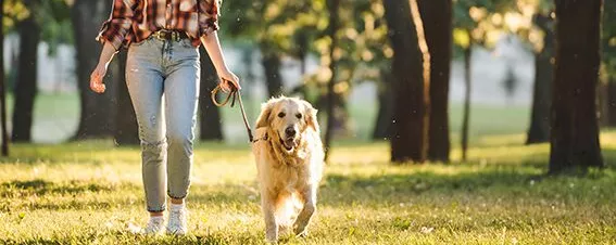 Frau mit Hund