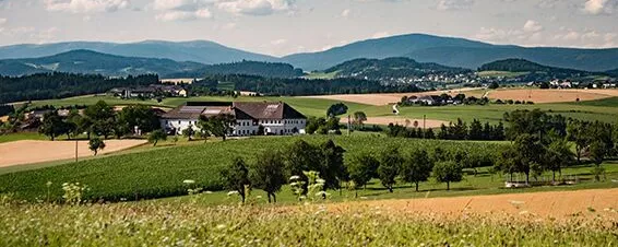 Landschaft im Mühlviertel
