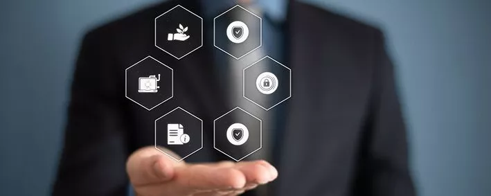 e-Government