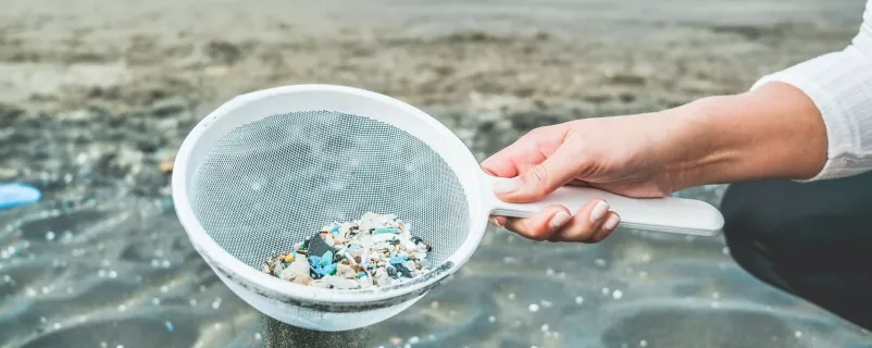 Mikroplastik in einem Netz