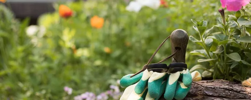 naturnaher Garten