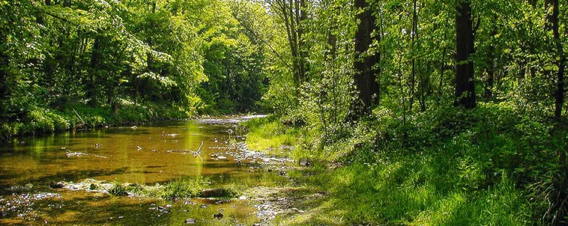 Wienfluss bei Purkersdorf