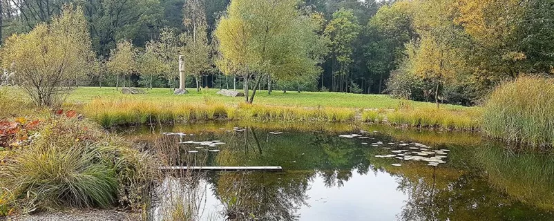Libellenteich im Hengl Steinbruch in Limberg 