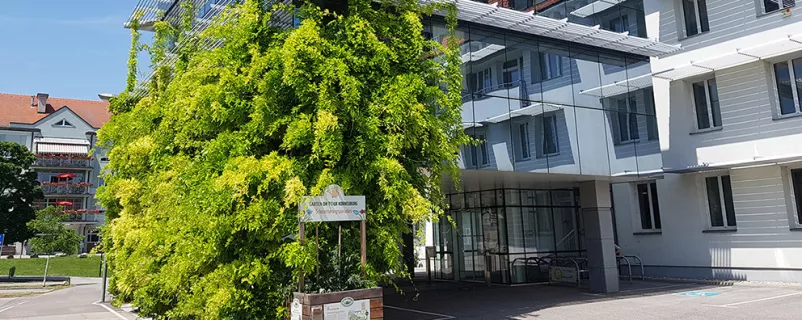 Begrünung an der Bezirkshauptmannschaft Korneuburg