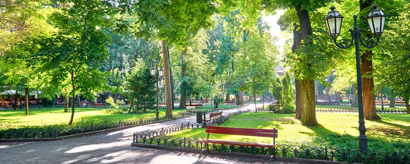 Park