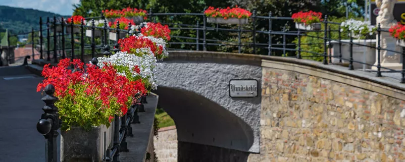Brücke mit Blumen in Klosterneubur