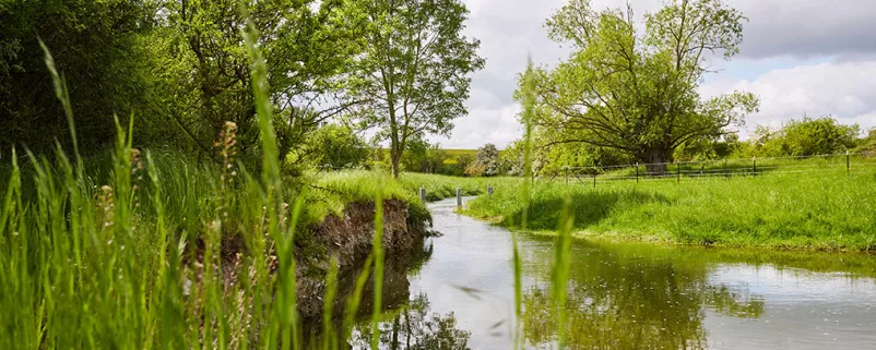 Renaturierter Fluss