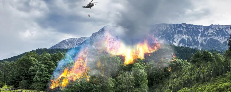 Waldbrand