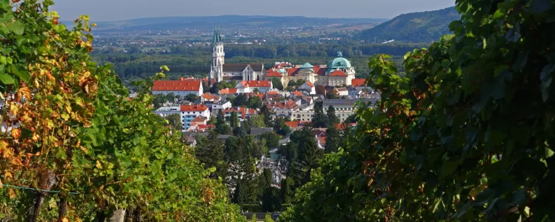 Blick durch die Weingärten auf das Stift Klosterneuburg
