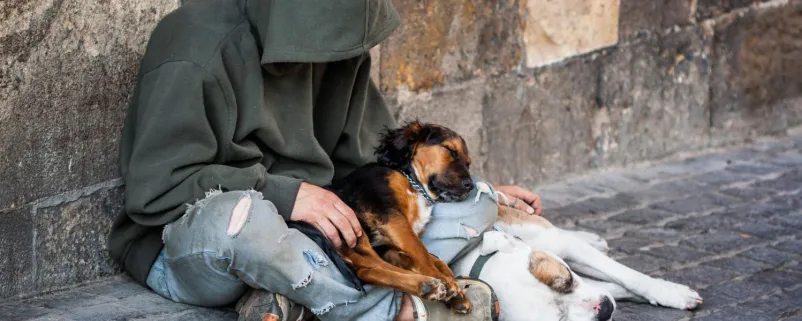Bettler mit Hunden