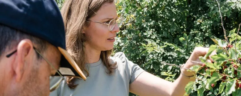 Ragweed verbreitet sich durch die Klimakrise besonders stark. Flächen mit lückiger Vegetation, Randstreifen und Böschungen sollten regelmäßig auf Ambrosia kontrolliert werden. Die burgenländische Landeshauptmann-Stellvertreterin Anja Haider-Wallner ruft zu einer gemeinsamen Anstrengung bei der Bekämpfung auf.