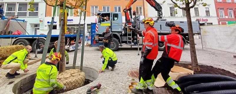 Baumpflanzung in Villach
