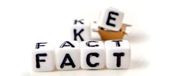 EU Fake News Initiative