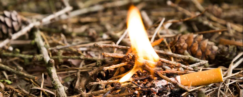 Waldbrand ausgelöst von Zigarettenkippe