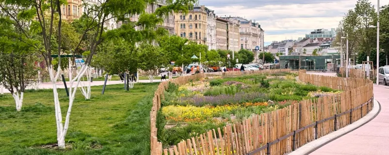 Innerstädtische Begrünung in Wien