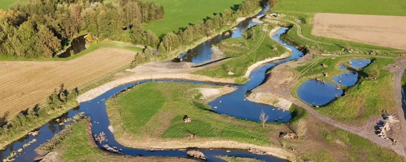 Bei der Preisverleihung 2025 wurde das Projekt zur Renaturierung der Aschach in Bäckenhof, Marktgemeinde Waizenkirchen, in der Kategorie WasserREGIONAL ausgezeichnet.