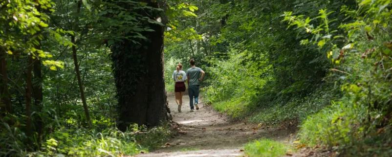 Spaziergänger im Wald
